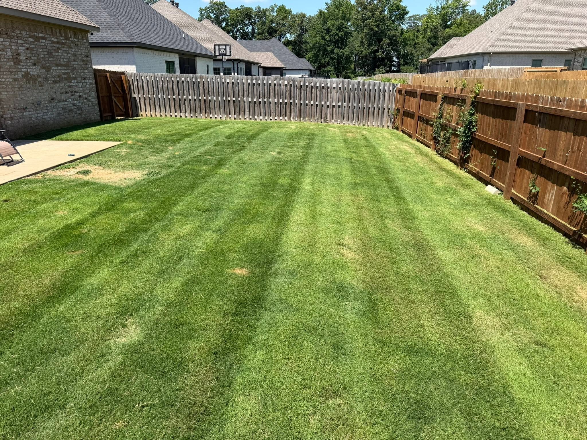 Standard suburban lawn